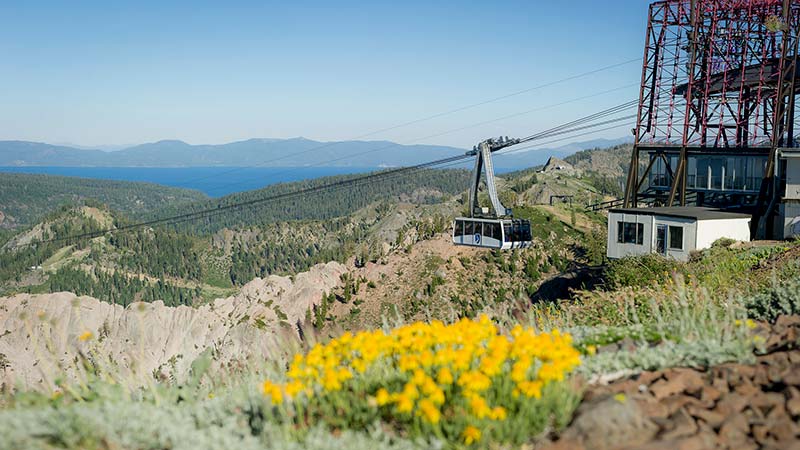 The Aerial Tram at High Camp in the Summer